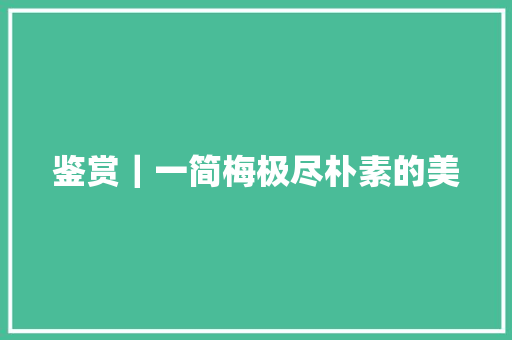 鉴赏｜一简梅极尽朴素的美