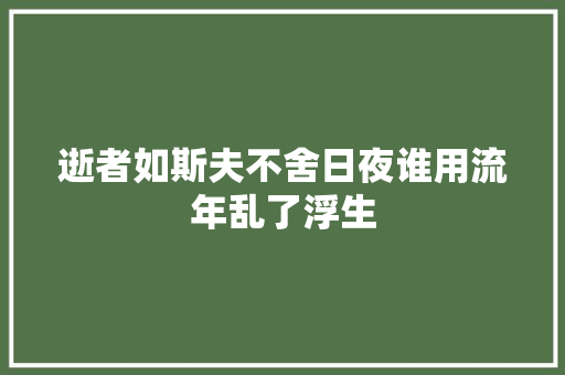 逝者如斯夫不舍日夜谁用流年乱了浮生