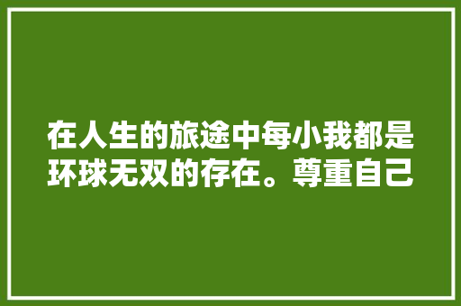 在人生的旅途中每小我都是环球无双的存在。尊重自己