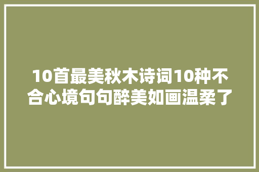 10首最美秋木诗词10种不合心境句句醉美如画温柔了岁月