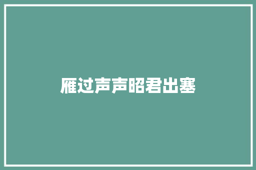 雁过声声昭君出塞