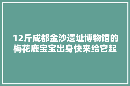 12斤成都金沙遗址博物馆的梅花鹿宝宝出身快来给它起名字