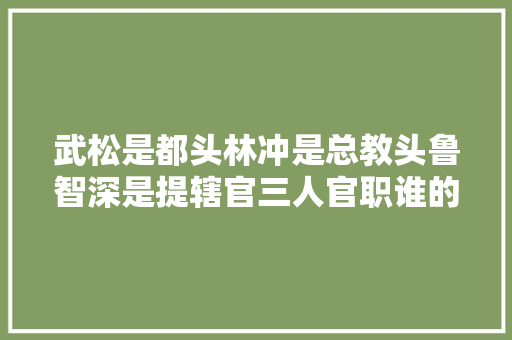 武松是都头林冲是总教头鲁智深是提辖官三人官职谁的最高