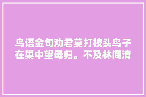 鸟语金句劝君莫打枝头鸟子在巢中望母归。不及林间清闲啼。