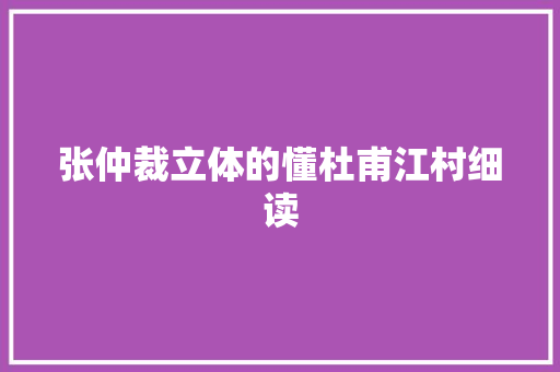 张仲裁立体的懂杜甫江村细读