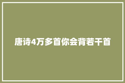 唐诗4万多首你会背若干首