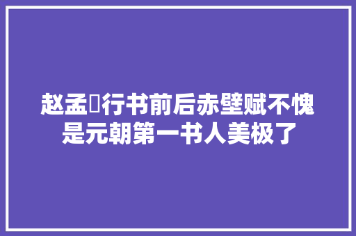 赵孟頫行书前后赤壁赋不愧是元朝第一书人美极了