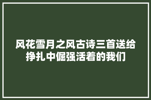 风花雪月之风古诗三首送给挣扎中倔强活着的我们