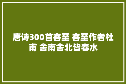 唐诗300首客至 客至作者杜甫 舍南舍北皆春水