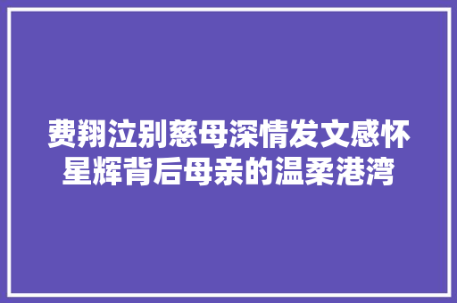 费翔泣别慈母深情发文感怀星辉背后母亲的温柔港湾