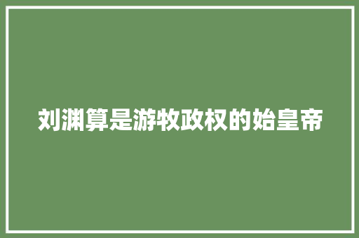 刘渊算是游牧政权的始皇帝