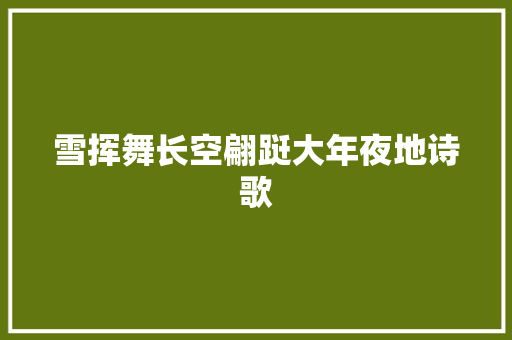 雪挥舞长空翩跹大年夜地诗歌