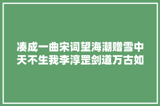 凑成一曲宋词望海潮赠雪中天不生我李淳罡剑道万古如长夜