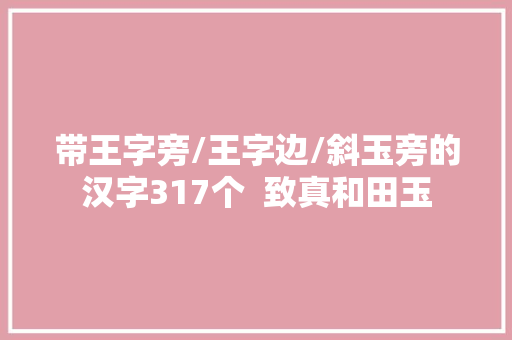 带王字旁/王字边/斜玉旁的汉字317个  致真和田玉