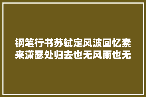 钢笔行书苏轼定风波回忆素来潇瑟处归去也无风雨也无晴