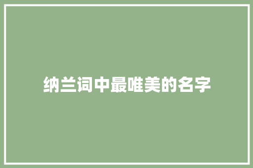 纳兰词中最唯美的名字