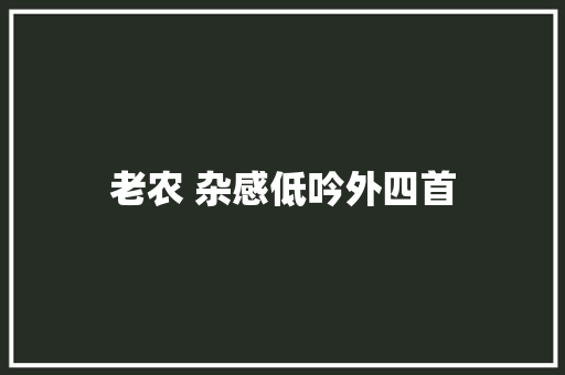 老农 杂感低吟外四首