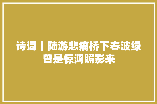 诗词｜陆游悲痛桥下春波绿曾是惊鸿照影来