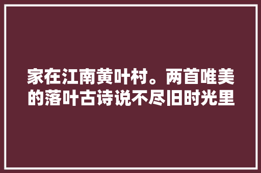 家在江南黄叶村。两首唯美的落叶古诗说不尽旧时光里的岁月静好