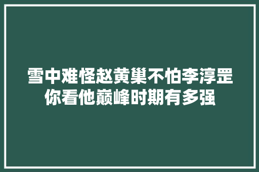 雪中难怪赵黄巢不怕李淳罡你看他巅峰时期有多强