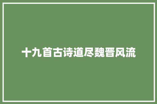 十九首古诗道尽魏晋风流