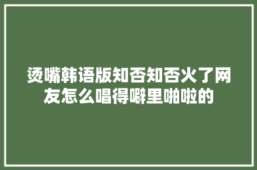 烫嘴韩语版知否知否火了网友怎么唱得噼里啪啦的