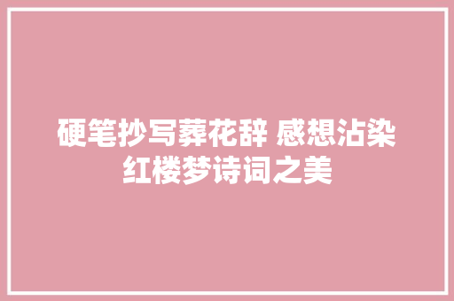 硬笔抄写葬花辞 感想沾染红楼梦诗词之美