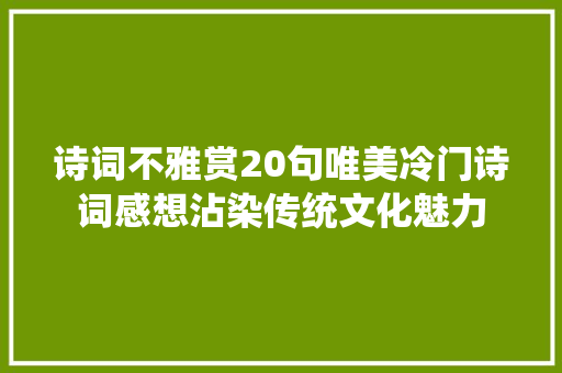 诗词不雅赏20句唯美冷门诗词感想沾染传统文化魅力