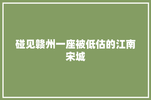 碰见赣州一座被低估的江南宋城