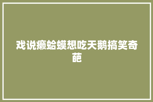 戏说癞蛤蟆想吃天鹅搞笑奇葩