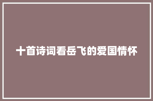 十首诗词看岳飞的爱国情怀