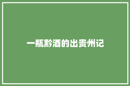 一瓶黔酒的出贵州记