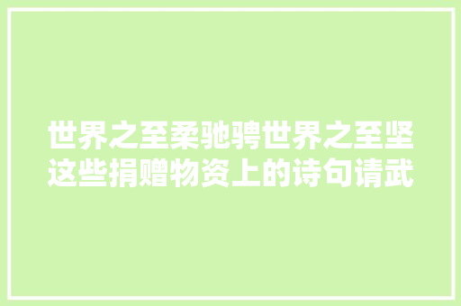 世界之至柔驰骋世界之至坚这些捐赠物资上的诗句请武汉年夜夫查收