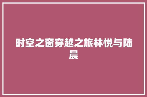 时空之窗穿越之旅林悦与陆晨
