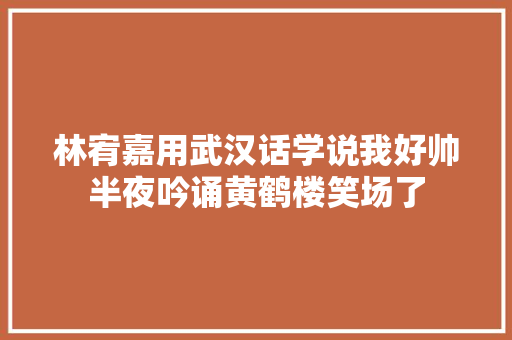 林宥嘉用武汉话学说我好帅半夜吟诵黄鹤楼笑场了