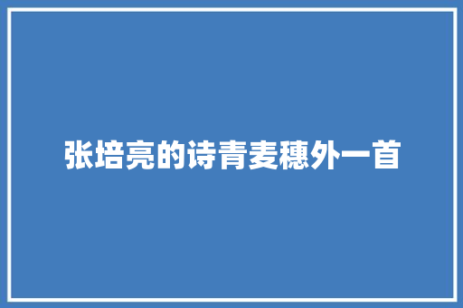 张培亮的诗青麦穗外一首
