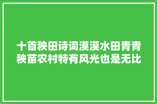 十首秧田诗词漠漠水田青青秧苗农村特有风光也是无比旖旎