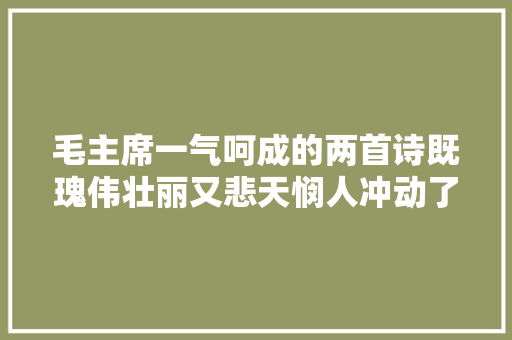 毛主席一气呵成的两首诗既瑰伟壮丽又悲天悯人冲动了无数人