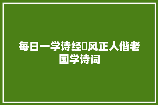 每日一学诗经鄘风正人偕老国学诗词