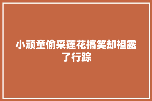 小顽童偷采莲花搞笑却袒露了行踪