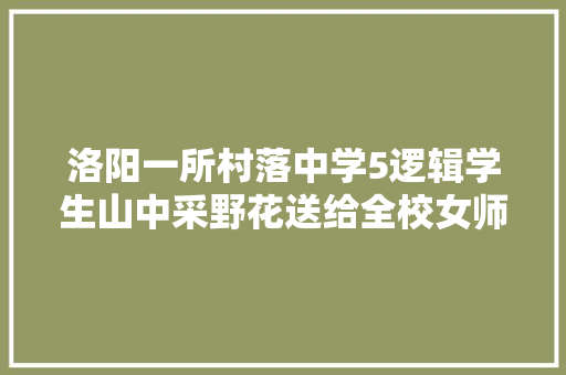 洛阳一所村落中学5逻辑学生山中采野花送给全校女师长教师