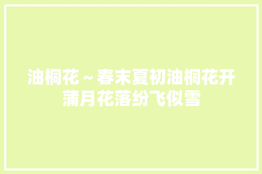 油桐花～春末夏初油桐花开蒲月花落纷飞似雪