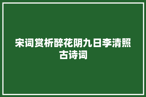 宋词赏析醉花阴九日李清照古诗词