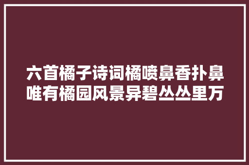 六首橘子诗词橘喷鼻香扑鼻唯有橘园风景异碧丛丛里万黄金