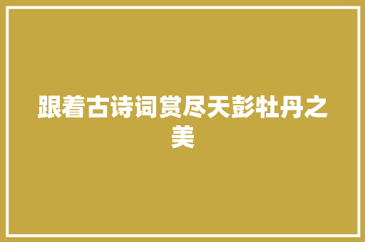 跟着古诗词赏尽天彭牡丹之美