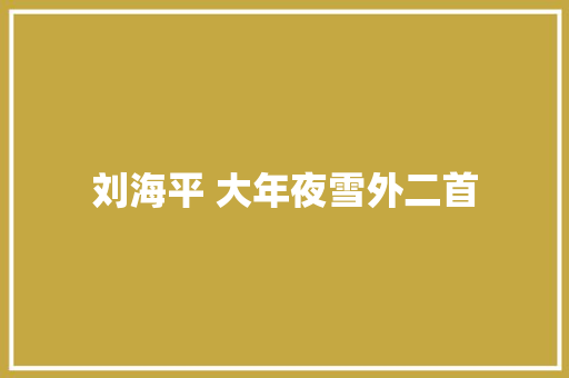 刘海平 大年夜雪外二首