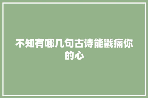 不知有哪几句古诗能戳痛你的心
