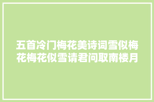 五首冷门梅花美诗词雪似梅花梅花似雪请君问取南楼月