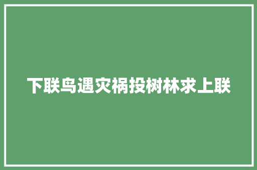 下联鸟遇灾祸投树林求上联