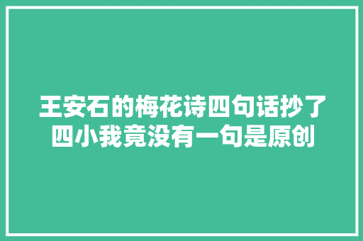 王安石的梅花诗四句话抄了四小我竟没有一句是原创